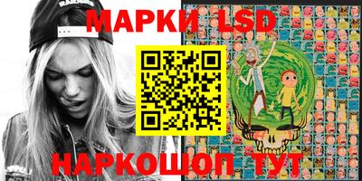 молекула духа Камышлов