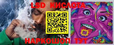 молекула духа Камышлов